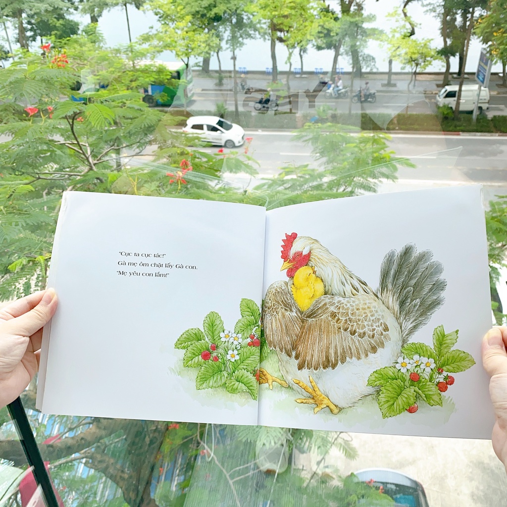 tranh truyện ehon cho bé - này, cậu ơi! (tái bản 2023) - Ảnh 6