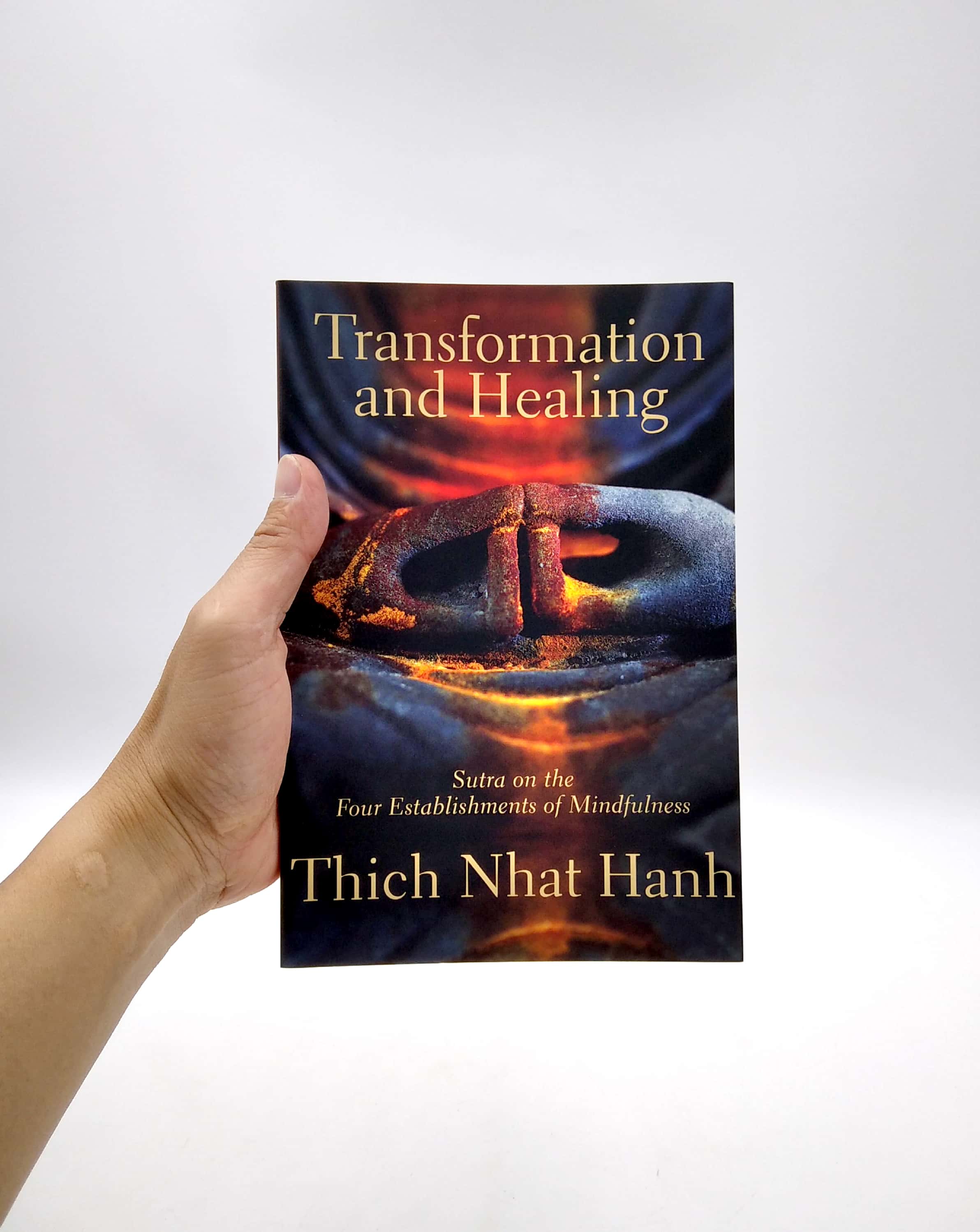 transformation and healing : sutra on the four establishments of mindfulness - Ảnh 2
