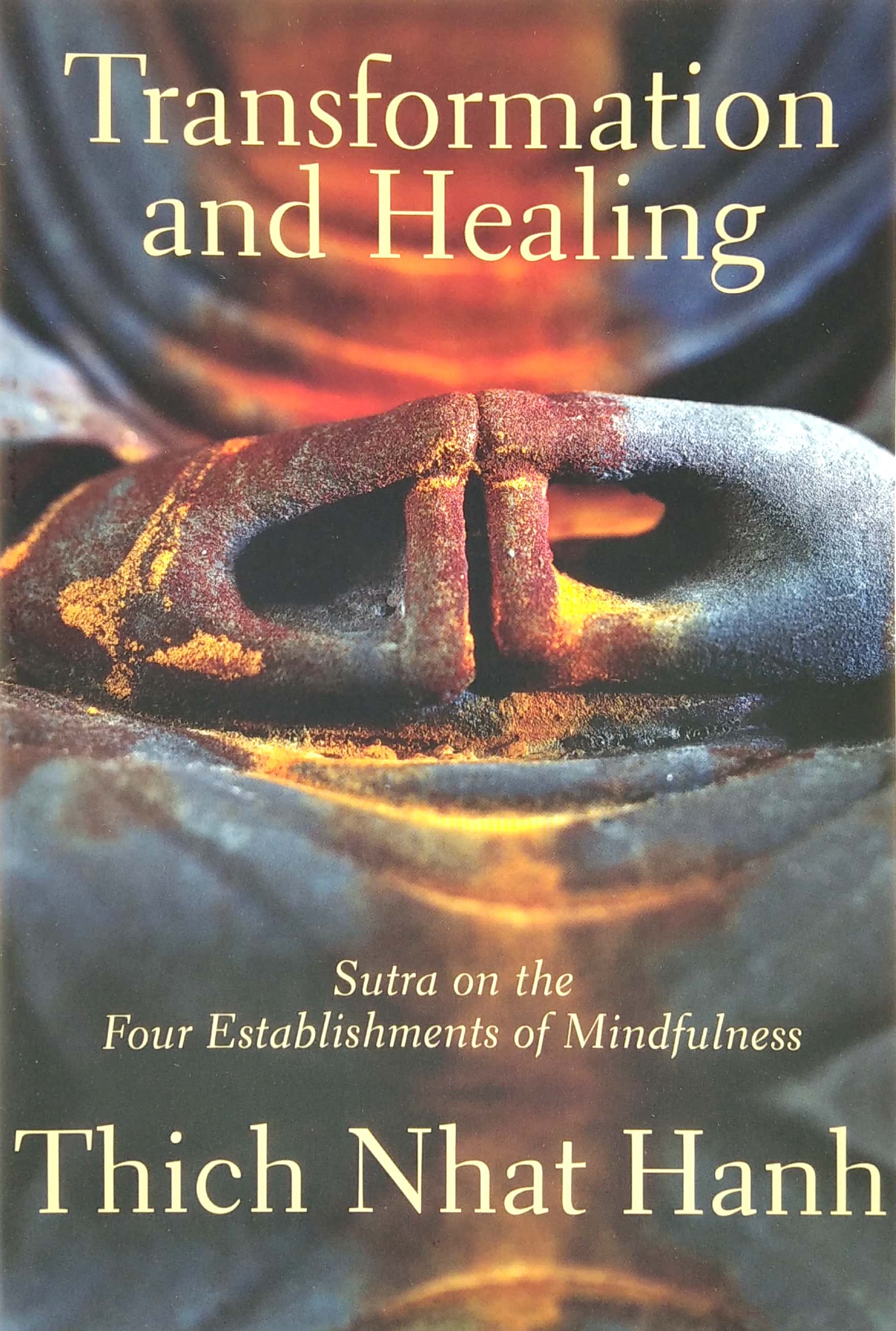 transformation and healing : sutra on the four establishments of mindfulness - Ảnh 3