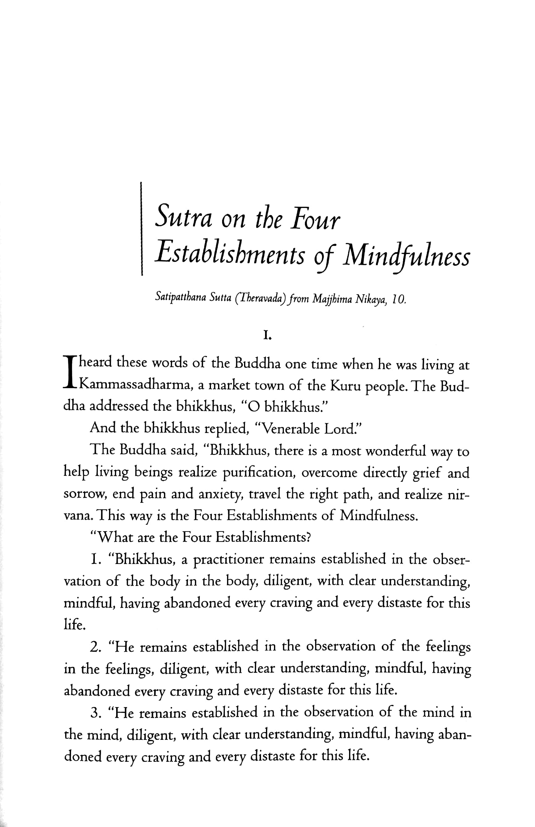transformation and healing : sutra on the four establishments of mindfulness - Ảnh 6
