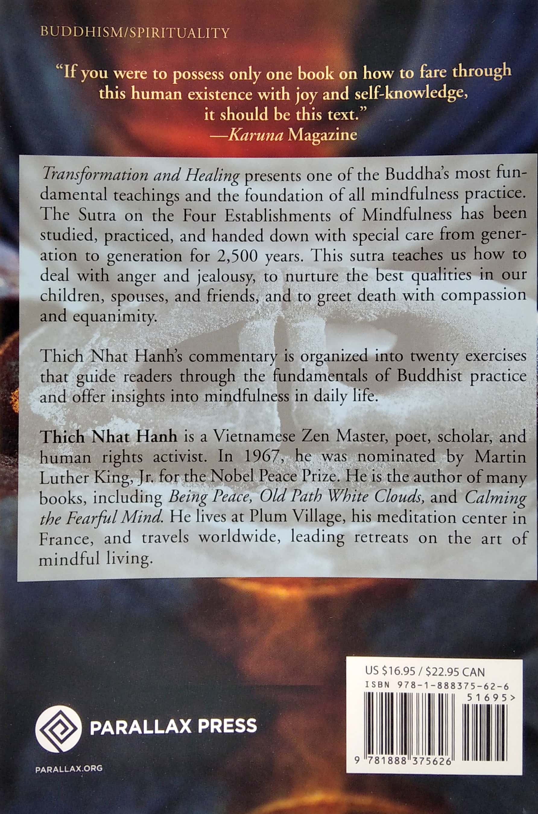 transformation and healing : sutra on the four establishments of mindfulness - Ảnh 7