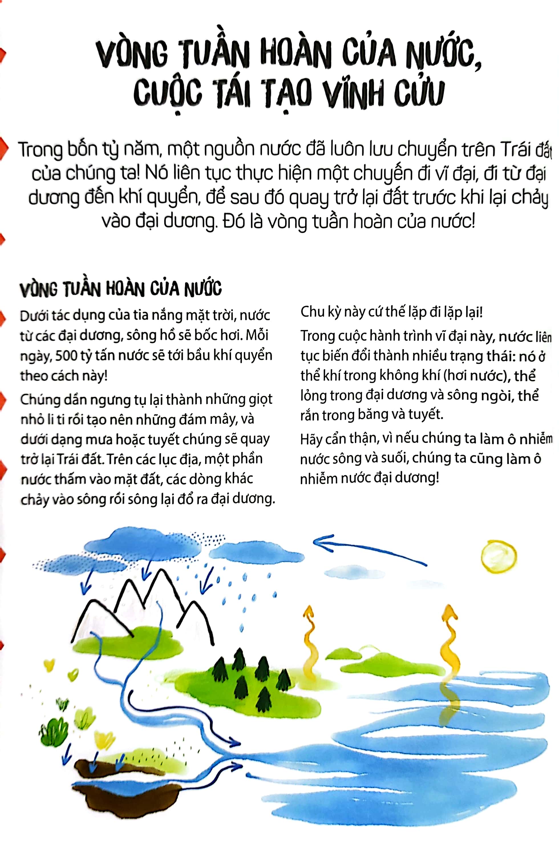 trẻ em bảo vệ hành tinh xanh: giải cứu biển và đại dương - Ảnh 8