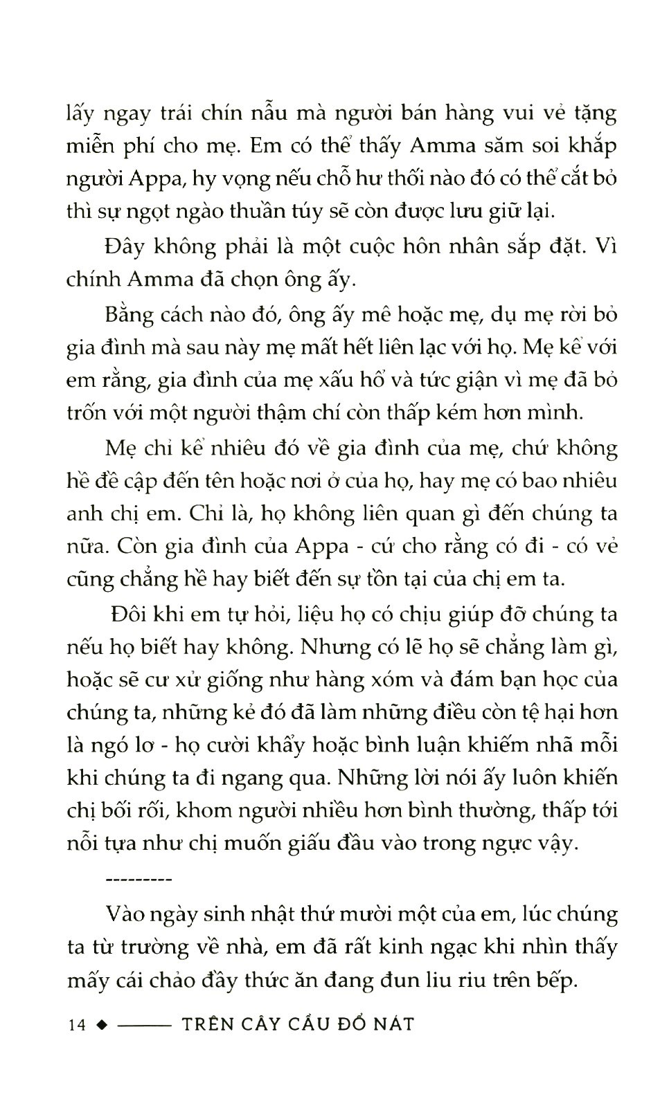trên cây cầu đổ nát - Ảnh 6