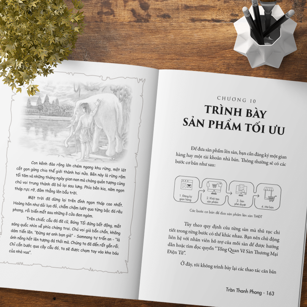 trên lưng khổng tượng - kinh doanh online trên sàn thương mại điện tử - Ảnh 10