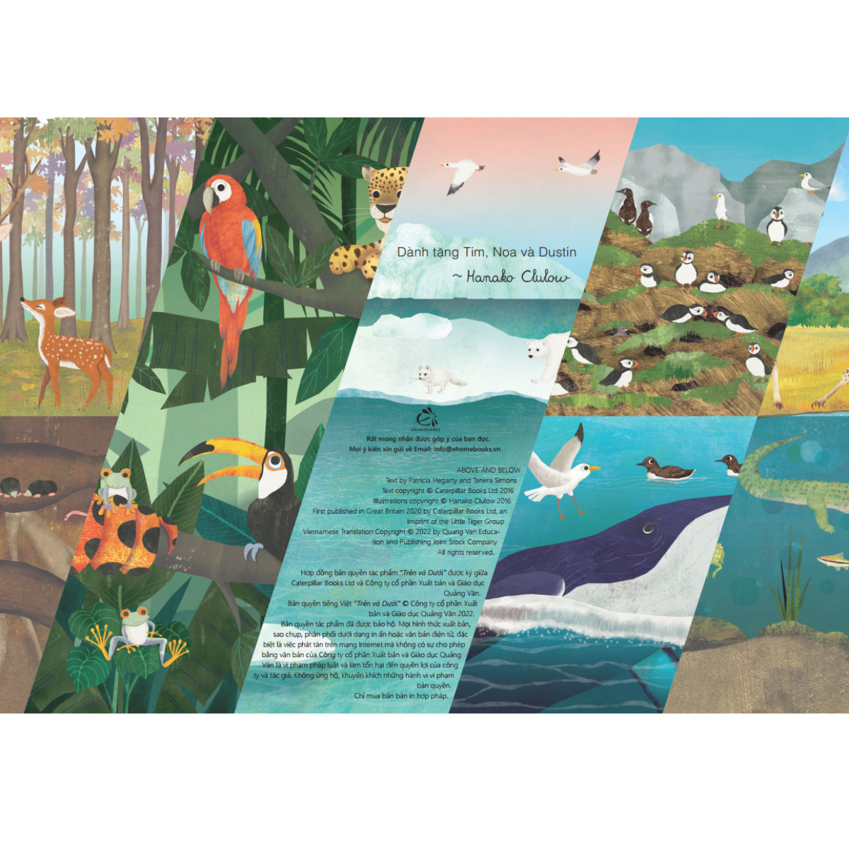 Trên Và Dưới - Above And Below - Ảnh 3