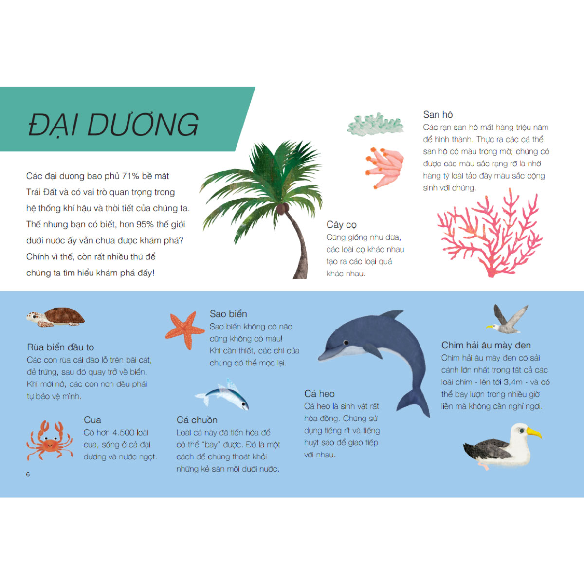 Trên Và Dưới - Above And Below - Ảnh 4