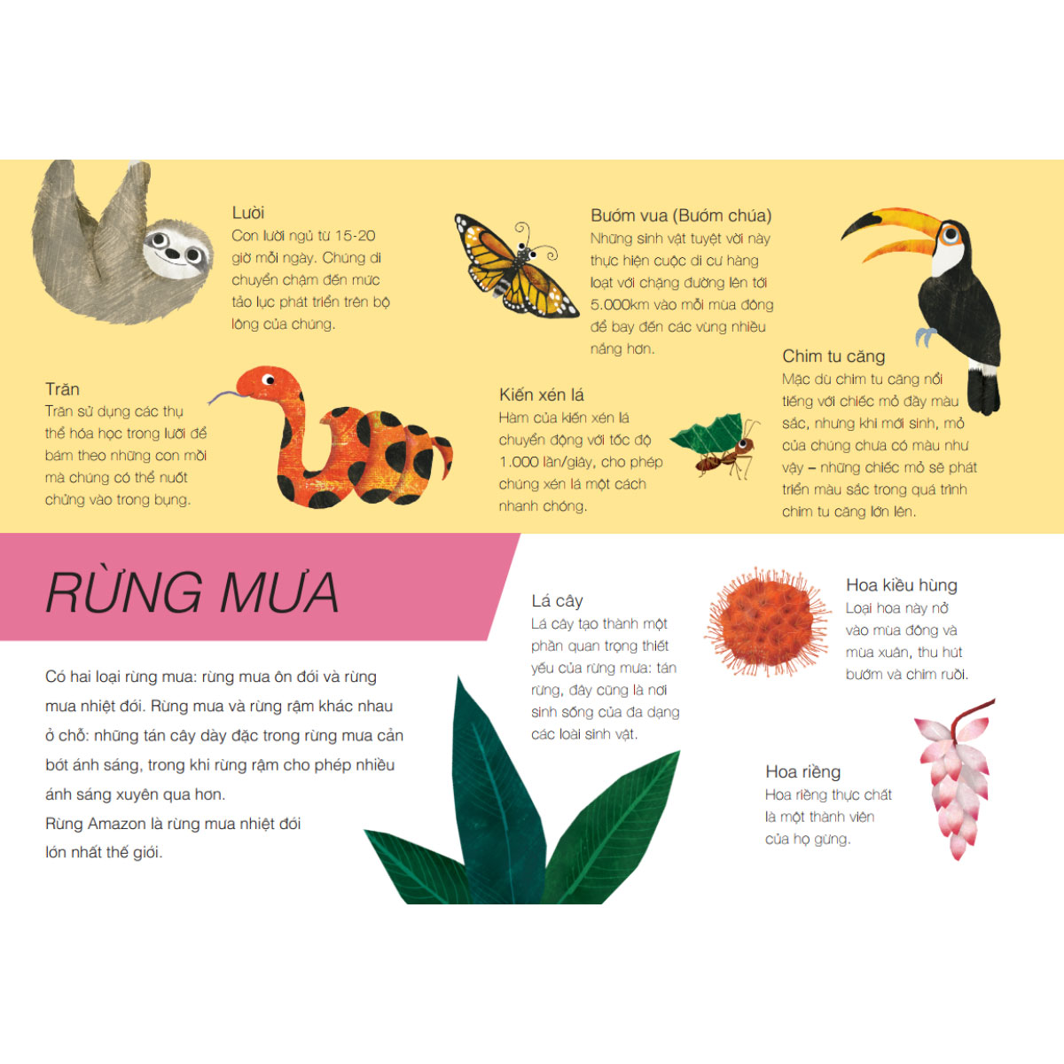 Trên Và Dưới - Above And Below - Ảnh 5