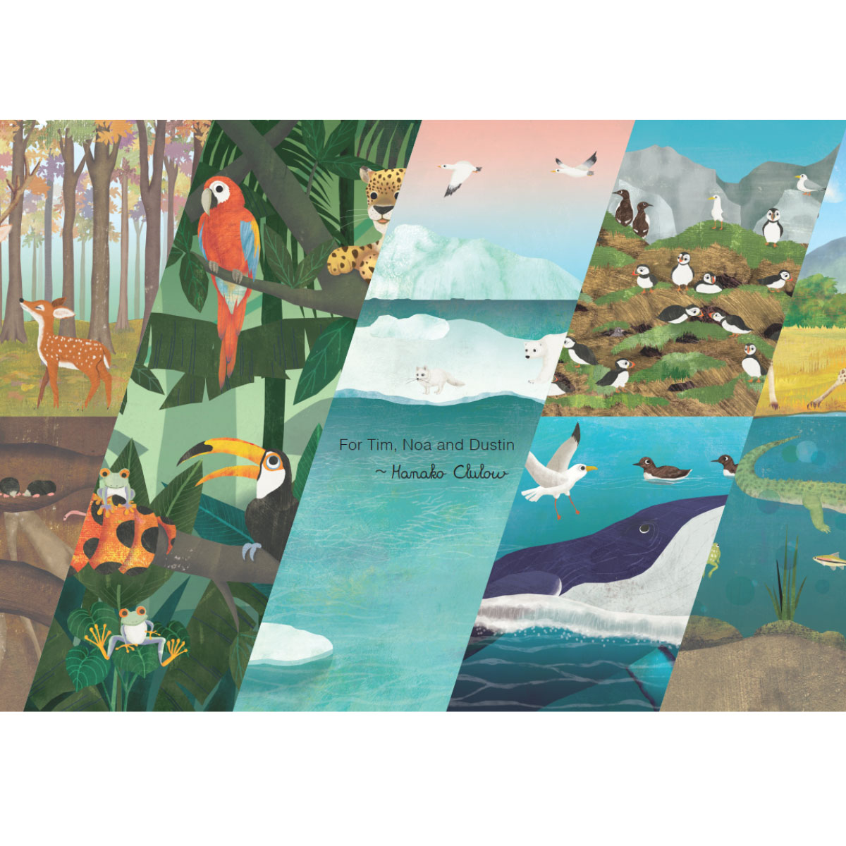 Trên Và Dưới - Above And Below - Ảnh 6