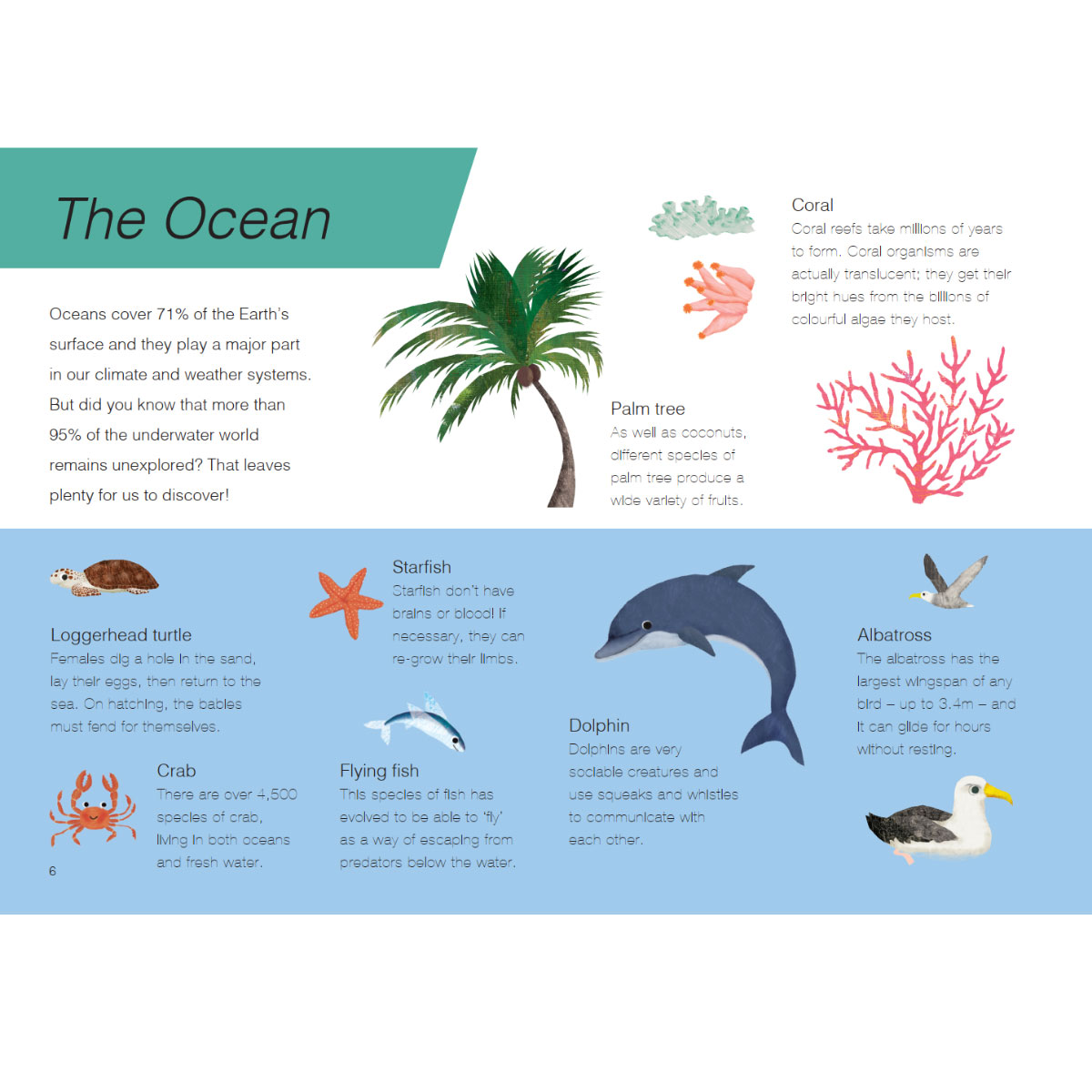 Trên Và Dưới - Above And Below - Ảnh 7