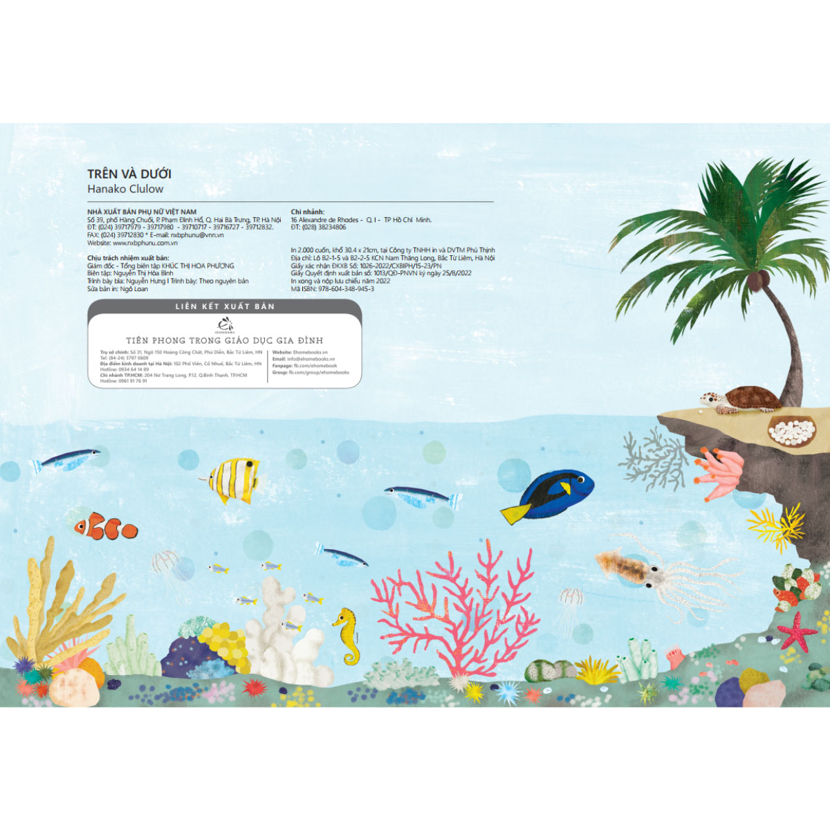 Trên Và Dưới - Above And Below - Ảnh 9