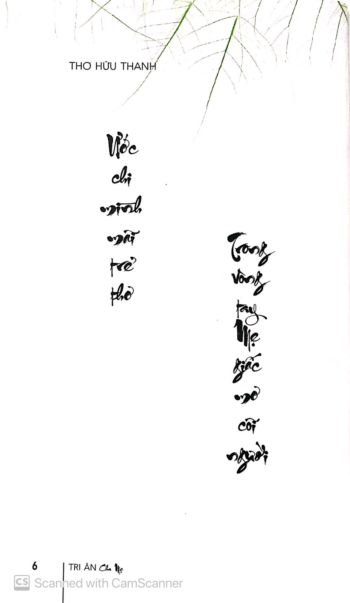 tri ân cha mẹ_ tuyển tập thư pháp - Ảnh 3