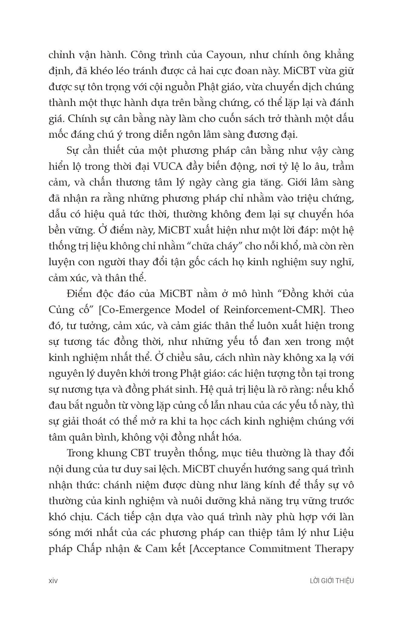 Trị Liệu Nhận Thức Hành Vi Tích Hợp Chánh Niệm - Nguyên Tắc Và Thực Hành - Ảnh 5