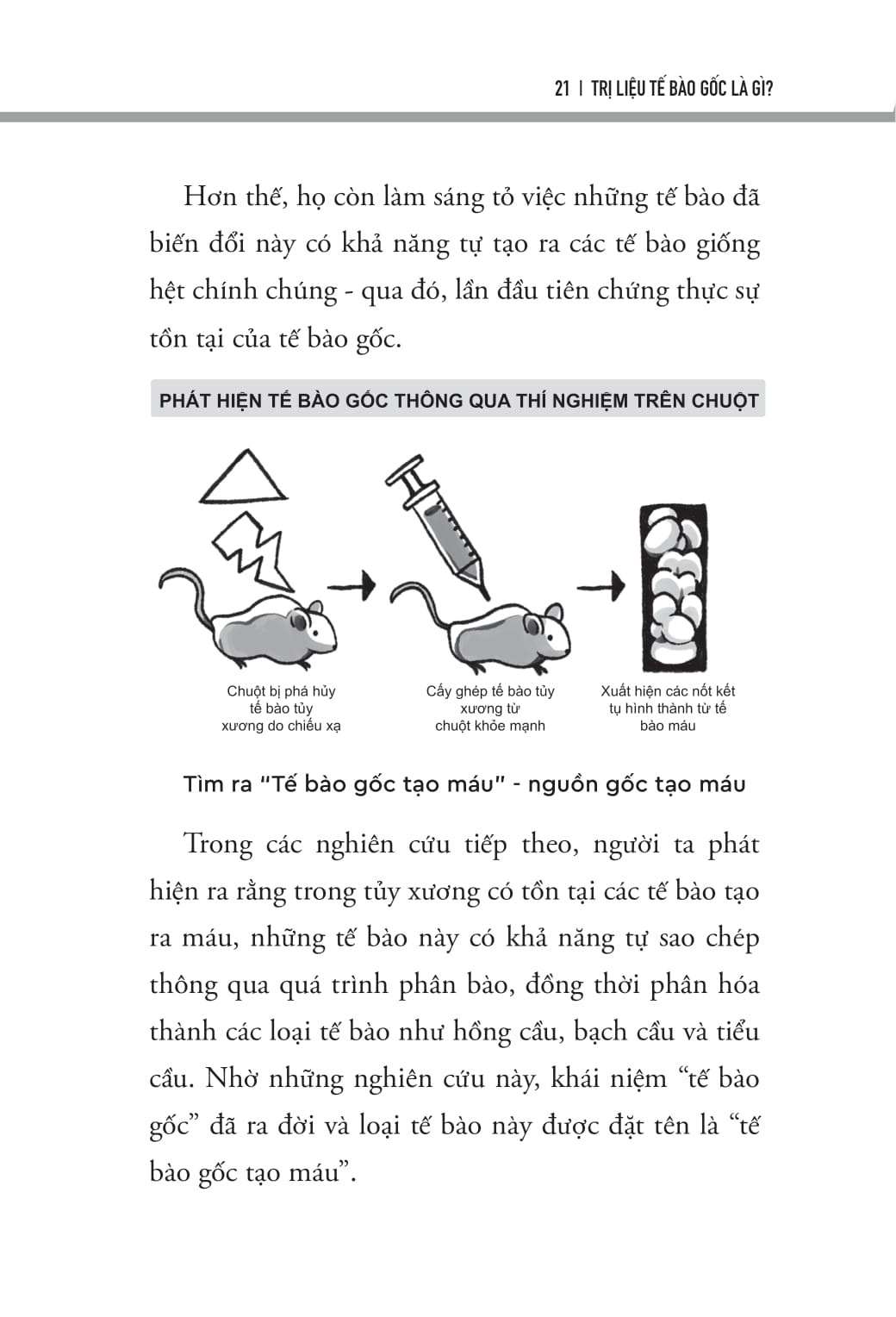 Trị Liệu Tế Bào Gốc - Cải Thiện Tự Kỷ Và Rối Loạn Phát Triển - Ảnh 11