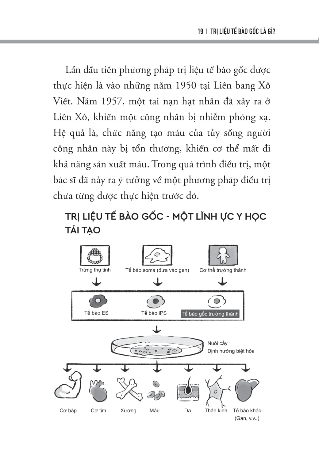 Trị Liệu Tế Bào Gốc - Cải Thiện Tự Kỷ Và Rối Loạn Phát Triển - Ảnh 9