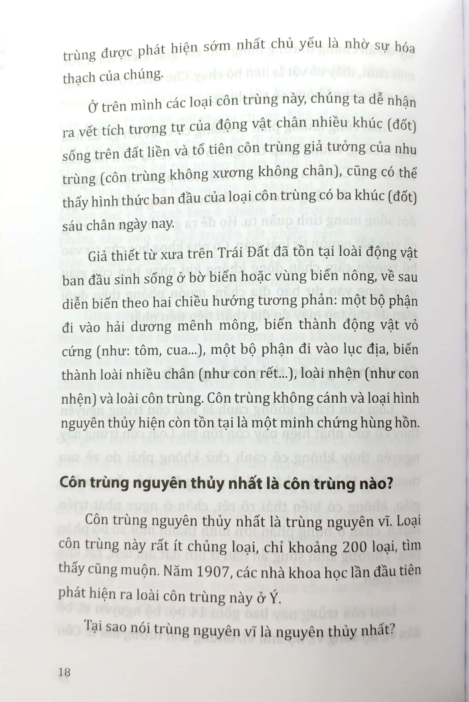 tri thức bách khoa - côn trùng, động vật, con người, thực vật - Ảnh 10