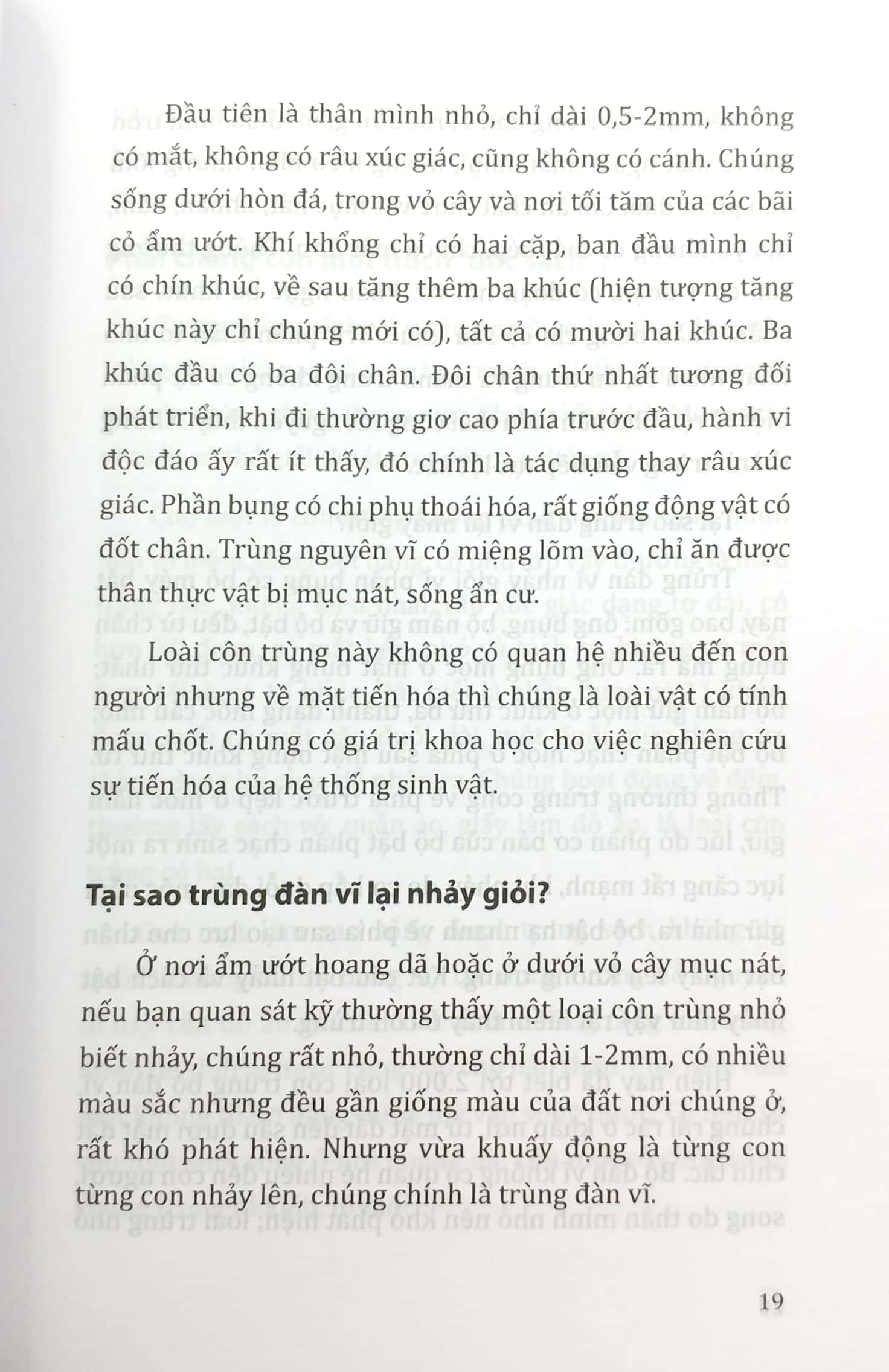 tri thức bách khoa - côn trùng, động vật, con người, thực vật - Ảnh 11