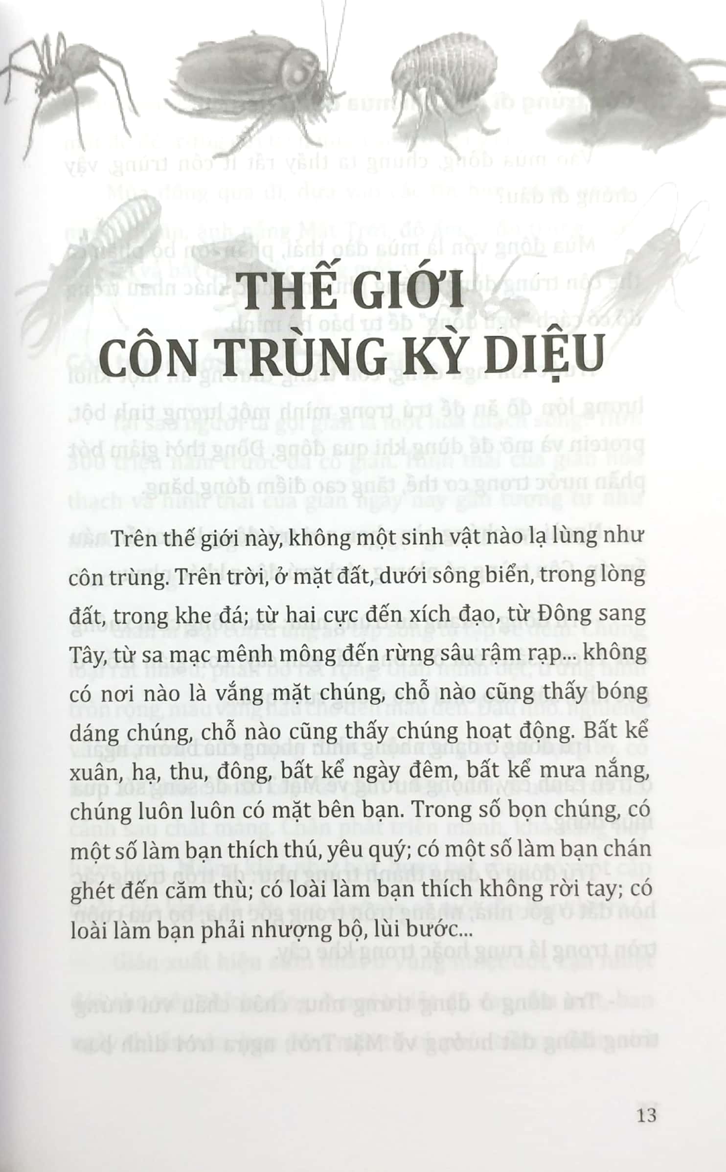 tri thức bách khoa - côn trùng, động vật, con người, thực vật - Ảnh 5