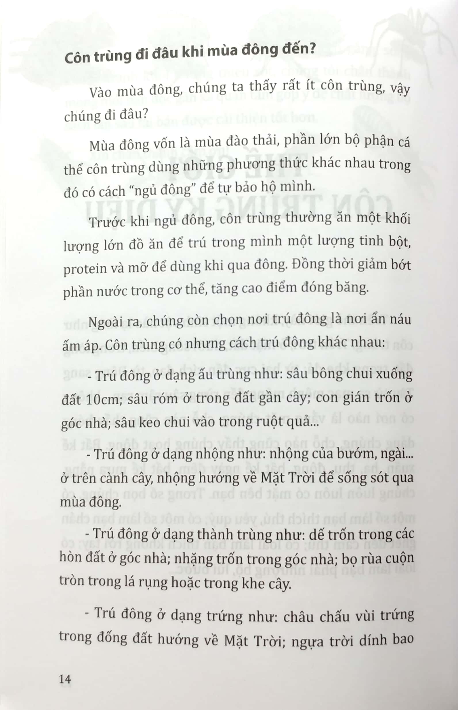tri thức bách khoa - côn trùng, động vật, con người, thực vật - Ảnh 6