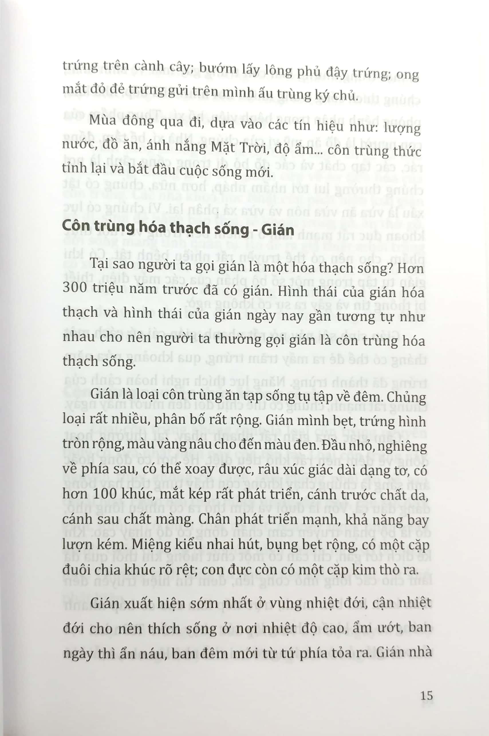 tri thức bách khoa - côn trùng, động vật, con người, thực vật - Ảnh 7