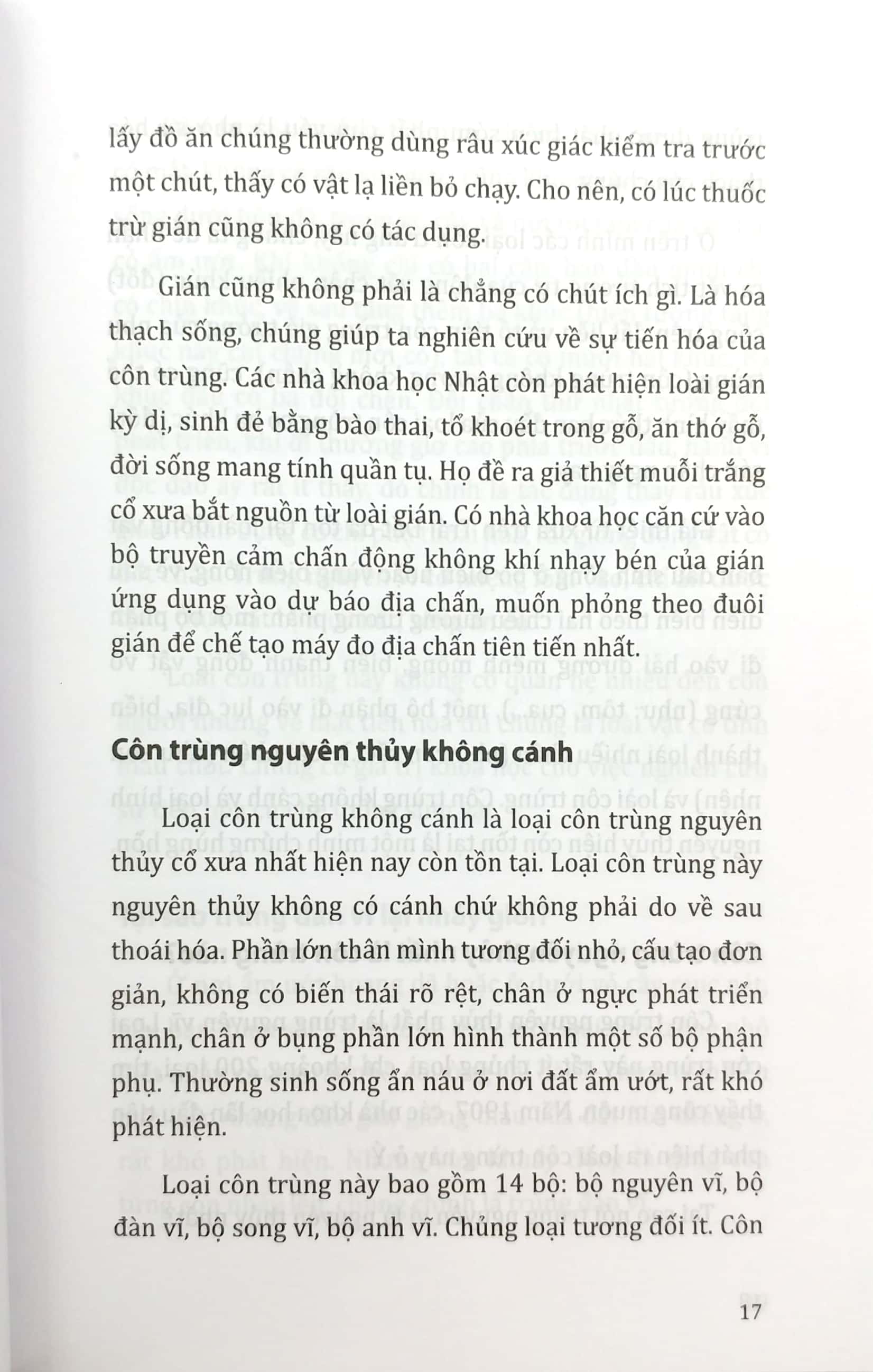 tri thức bách khoa - côn trùng, động vật, con người, thực vật - Ảnh 9