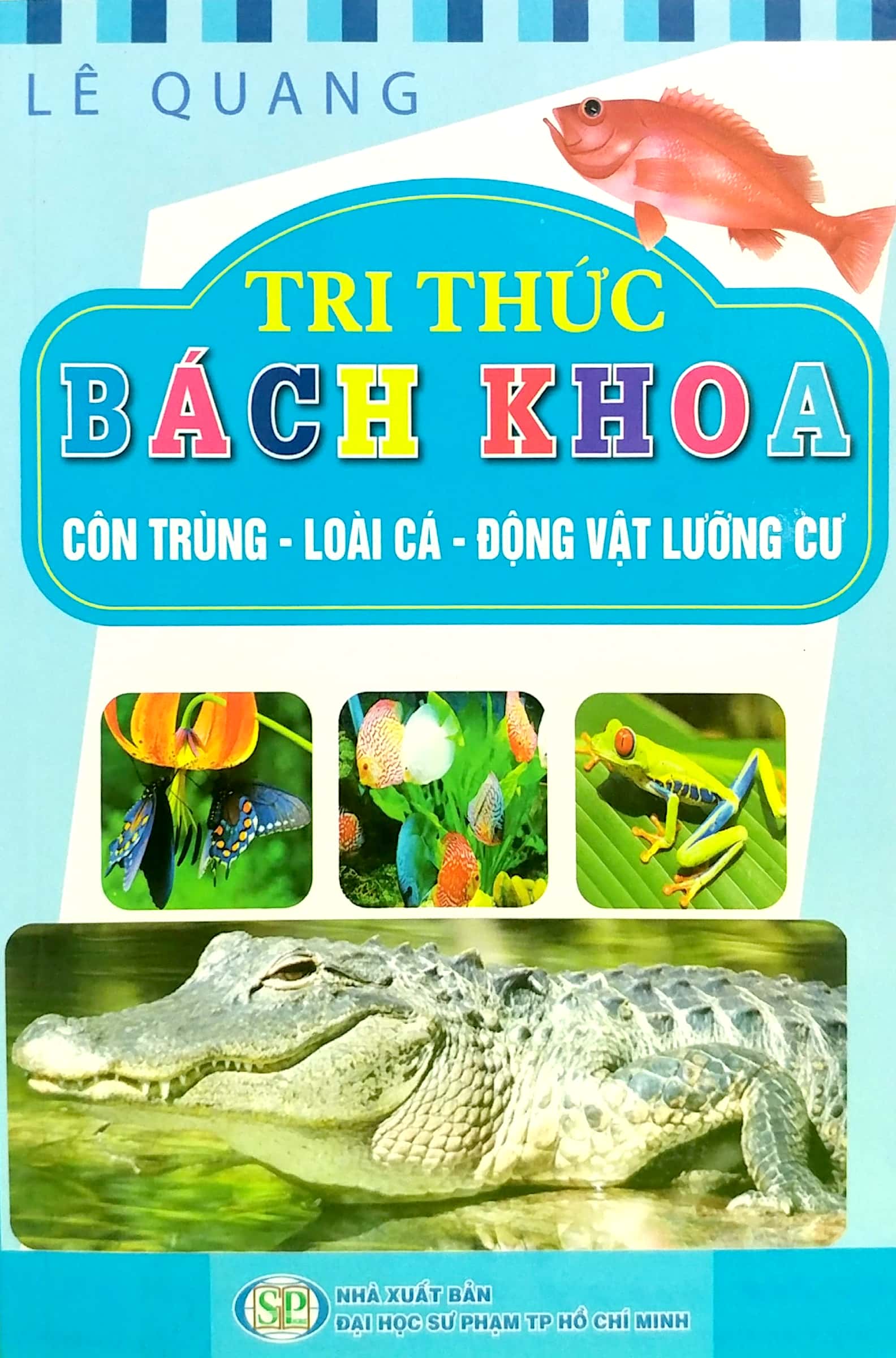 tri thức bách khoa - côn trùng, loài cá, động vật lưỡng cư - Ảnh 2