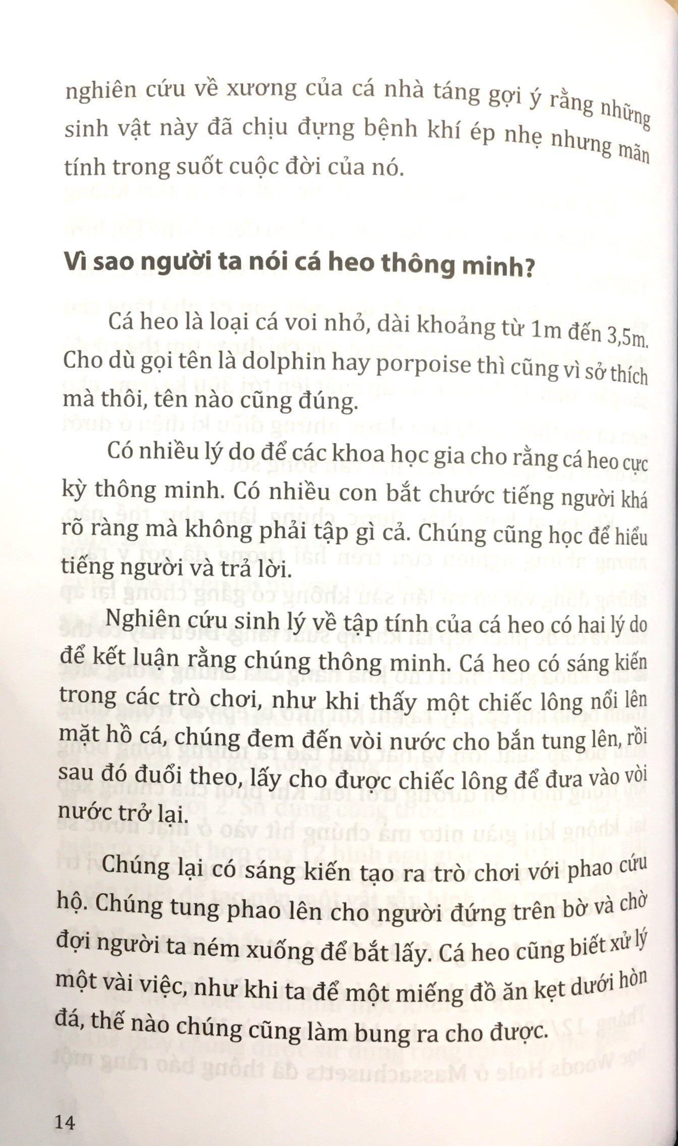 tri thức bách khoa - mẹ ơi tại sao - Ảnh 12
