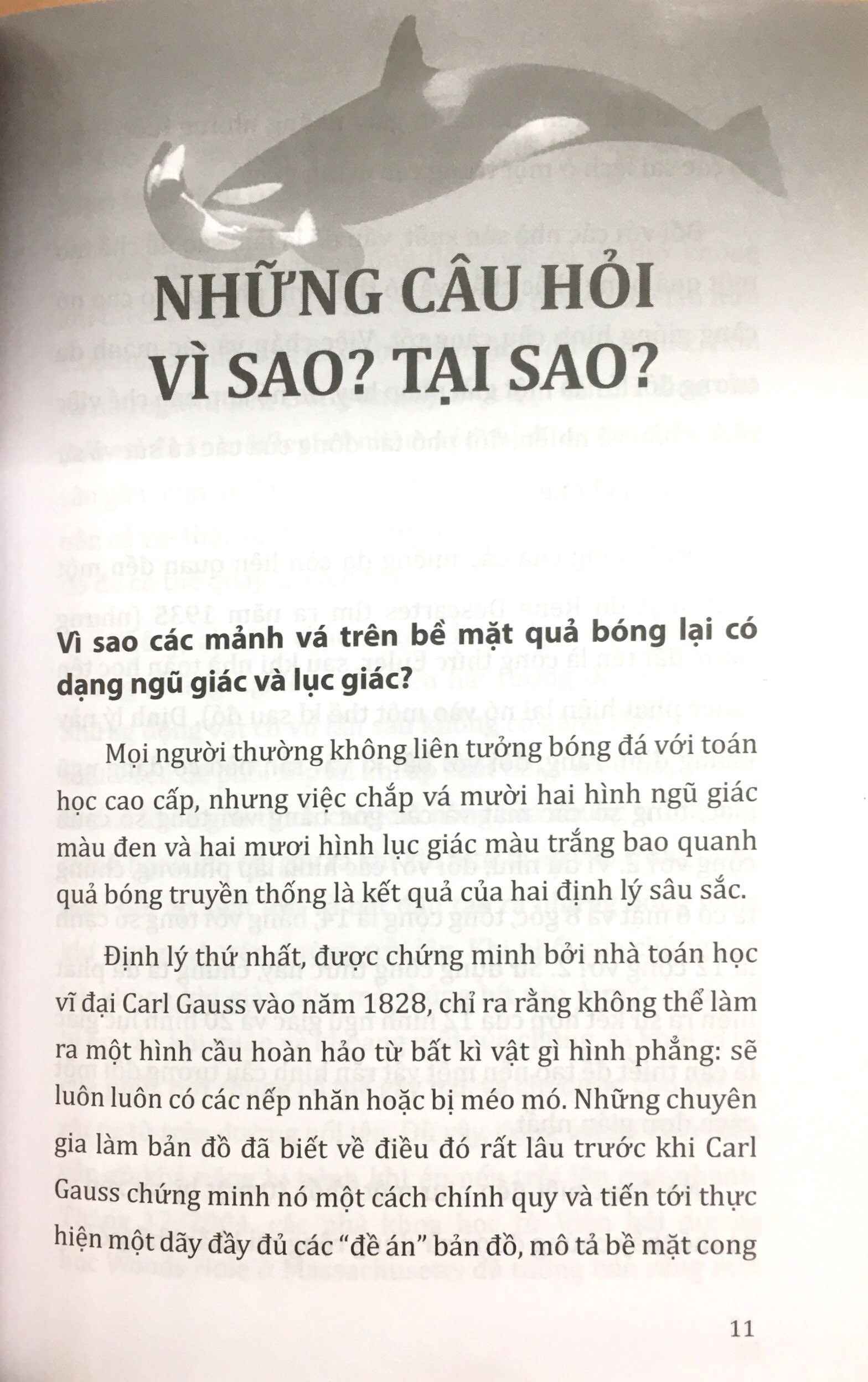 tri thức bách khoa - mẹ ơi tại sao - Ảnh 9