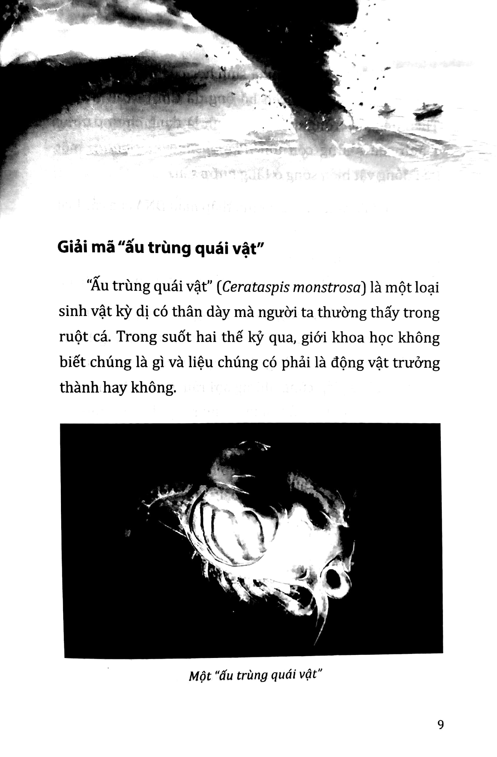 tri thức bách khoa - sự thật về những điều bí ẩn - Ảnh 5