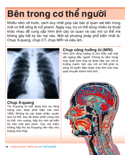 tri thức trong lòng bàn tay - bách khoa thiếu nhi: cơ thể người - Ảnh 13