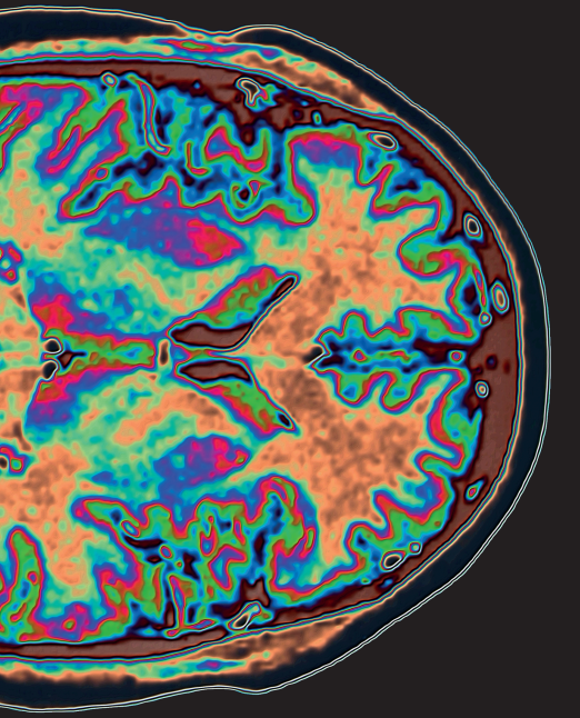tri thức trong lòng bàn tay - bách khoa thiếu nhi: cơ thể người - Ảnh 15