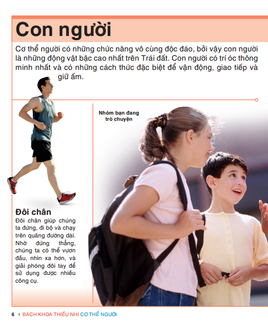 tri thức trong lòng bàn tay - bách khoa thiếu nhi: cơ thể người - Ảnh 3
