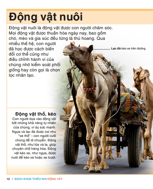 tri thức trong lòng bàn tay - bách khoa thiếu nhi - động vật (bìa cứng) (tái bản 2022) - Ảnh 10