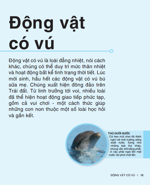 tri thức trong lòng bàn tay - bách khoa thiếu nhi - động vật (bìa cứng) (tái bản 2022) - Ảnh 13