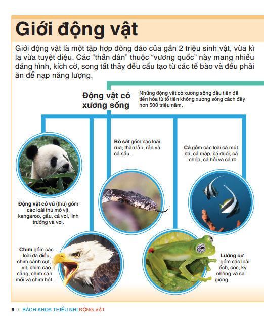tri thức trong lòng bàn tay - bách khoa thiếu nhi - động vật (bìa cứng) (tái bản 2022) - Ảnh 4