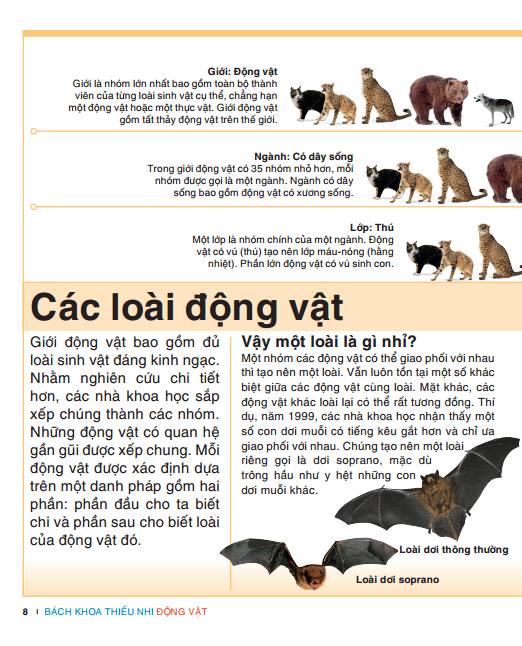 tri thức trong lòng bàn tay - bách khoa thiếu nhi - động vật (bìa cứng) (tái bản 2022) - Ảnh 6