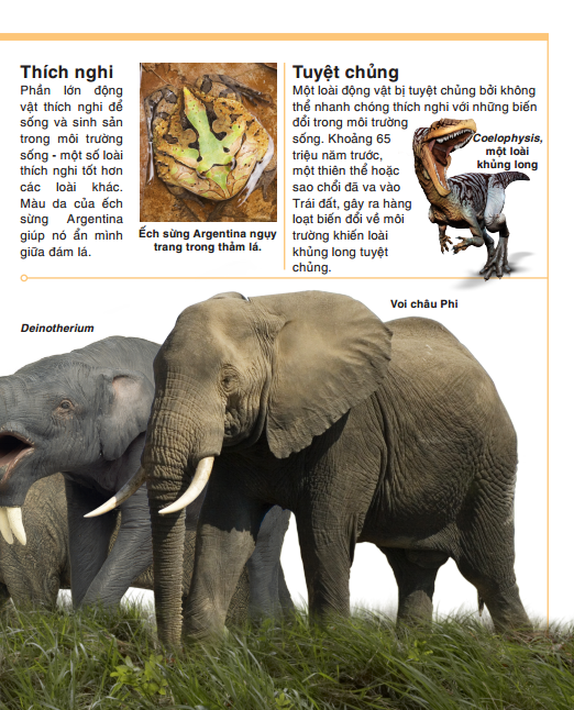 tri thức trong lòng bàn tay - bách khoa thiếu nhi - động vật (bìa cứng) (tái bản 2022) - Ảnh 9