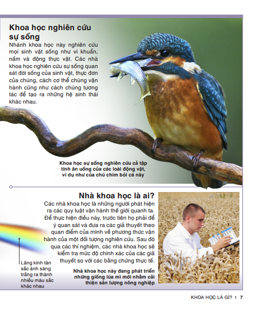 tri thức trong lòng bàn tay - bách khoa thiếu nhi khoa học (tái bản) - Ảnh 5