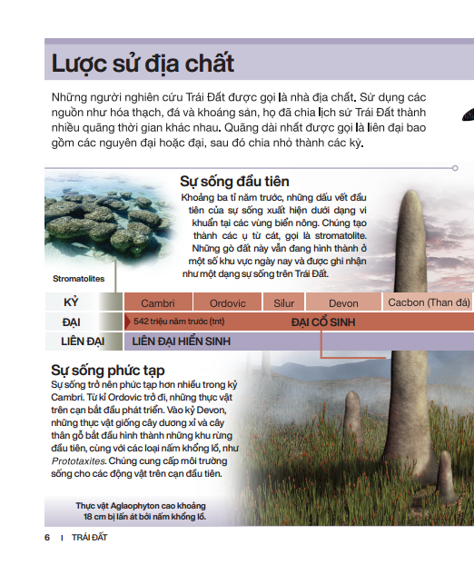 tri thức trong lòng bàn tay - bách khoa thiếu nhi - trái đất (bìa cứng) (tái bản 2022) - Ảnh 7