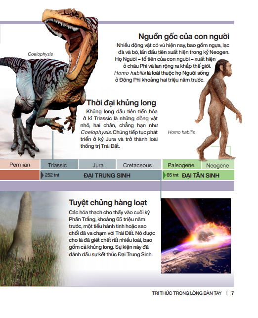 tri thức trong lòng bàn tay - bách khoa thiếu nhi - trái đất (bìa cứng) (tái bản 2022) - Ảnh 8