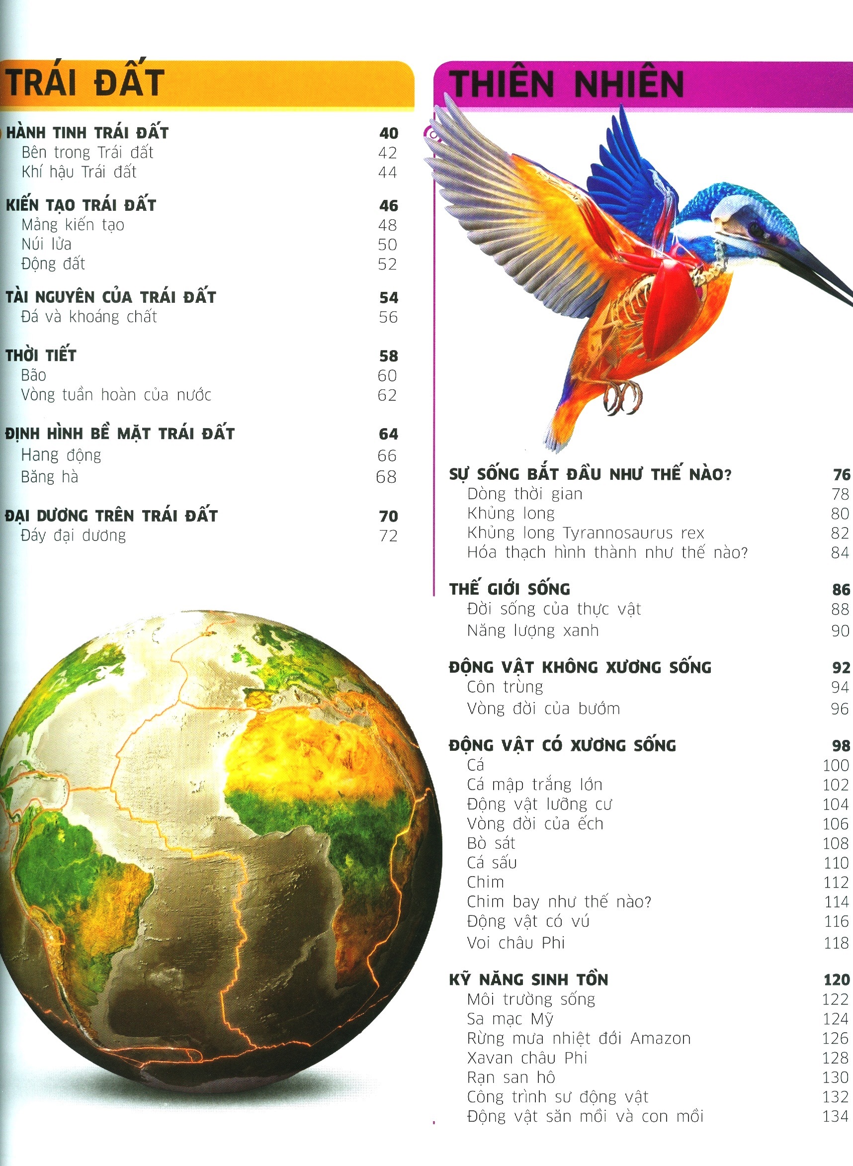 tri thức về vạn vật - một thế giới trực quan chưa từng thấy (tái bản 2023) - Ảnh 3