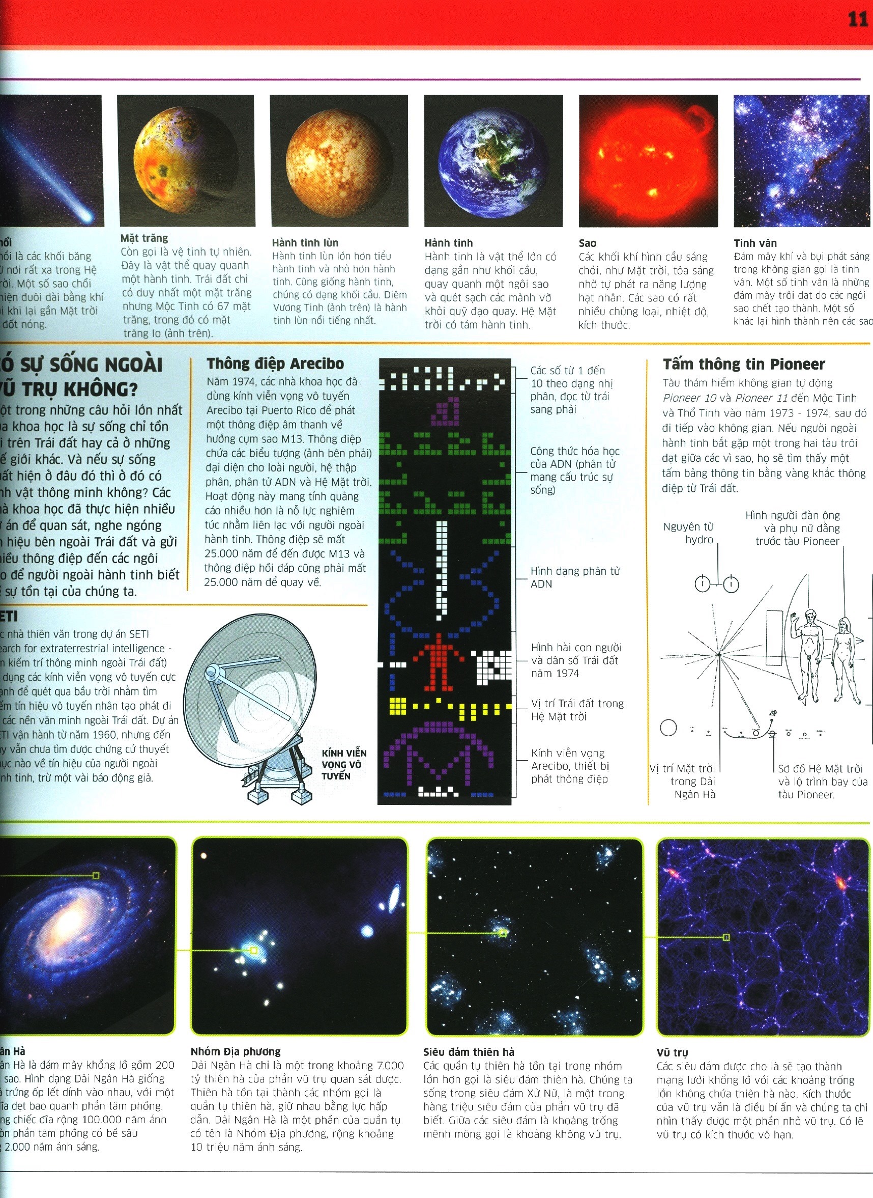tri thức về vạn vật - một thế giới trực quan chưa từng thấy (tái bản 2023) - Ảnh 5