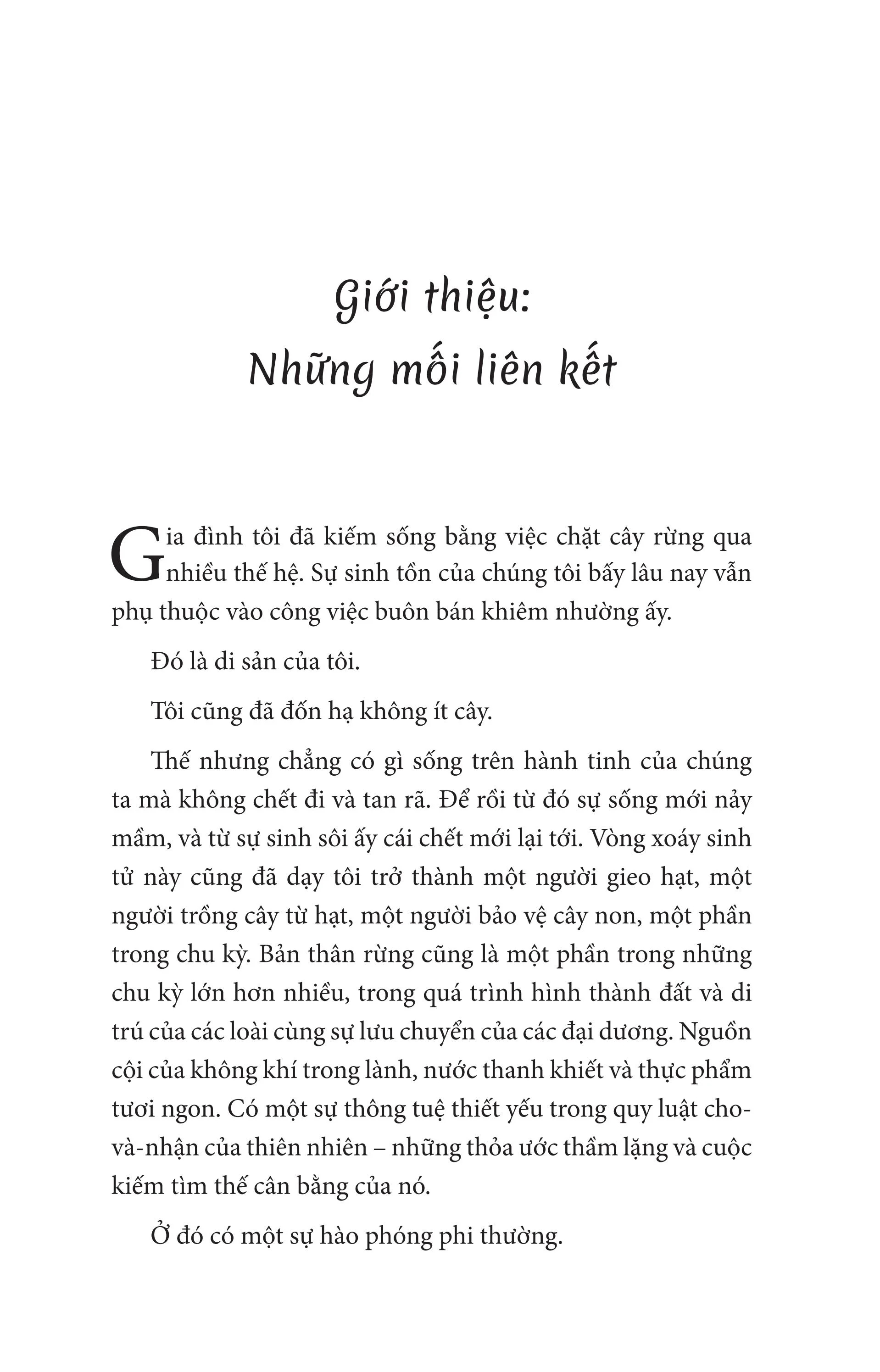 trí tuệ của rừng - khám phá trí thông minh và ngôn ngữ của loài cây - Ảnh 10