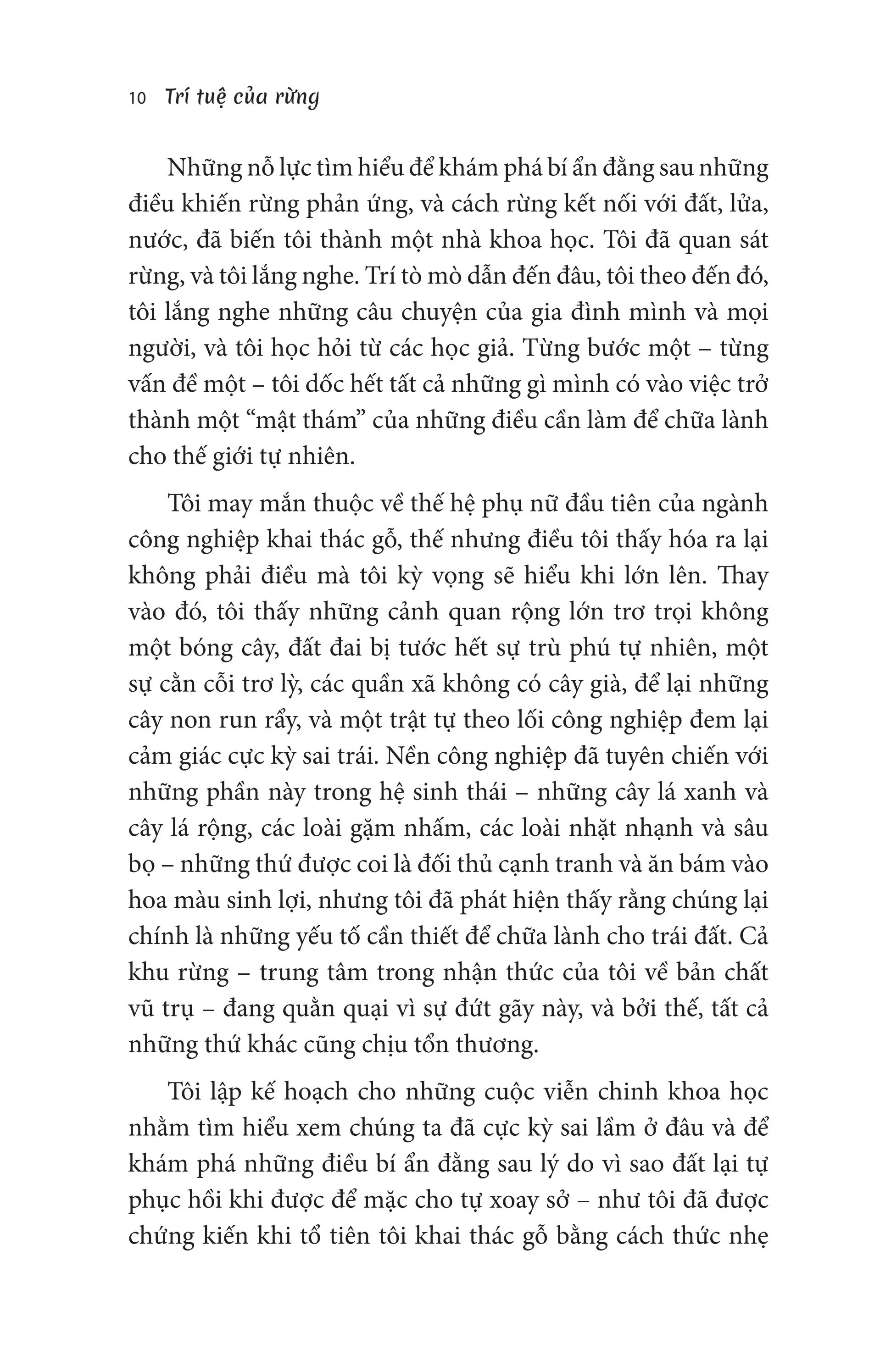 trí tuệ của rừng - khám phá trí thông minh và ngôn ngữ của loài cây - Ảnh 11