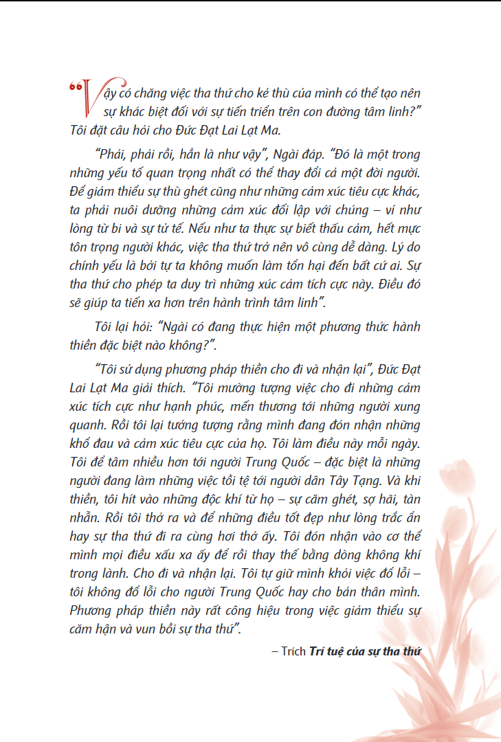 trí tuệ của sự tha thứ - the wisdom of forgiveness - Ảnh 3