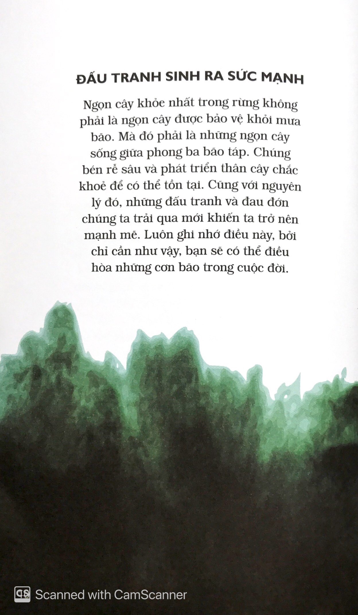 triết lý sống thế hệ z - kiên cường trên mọi chiến trường - Ảnh 10