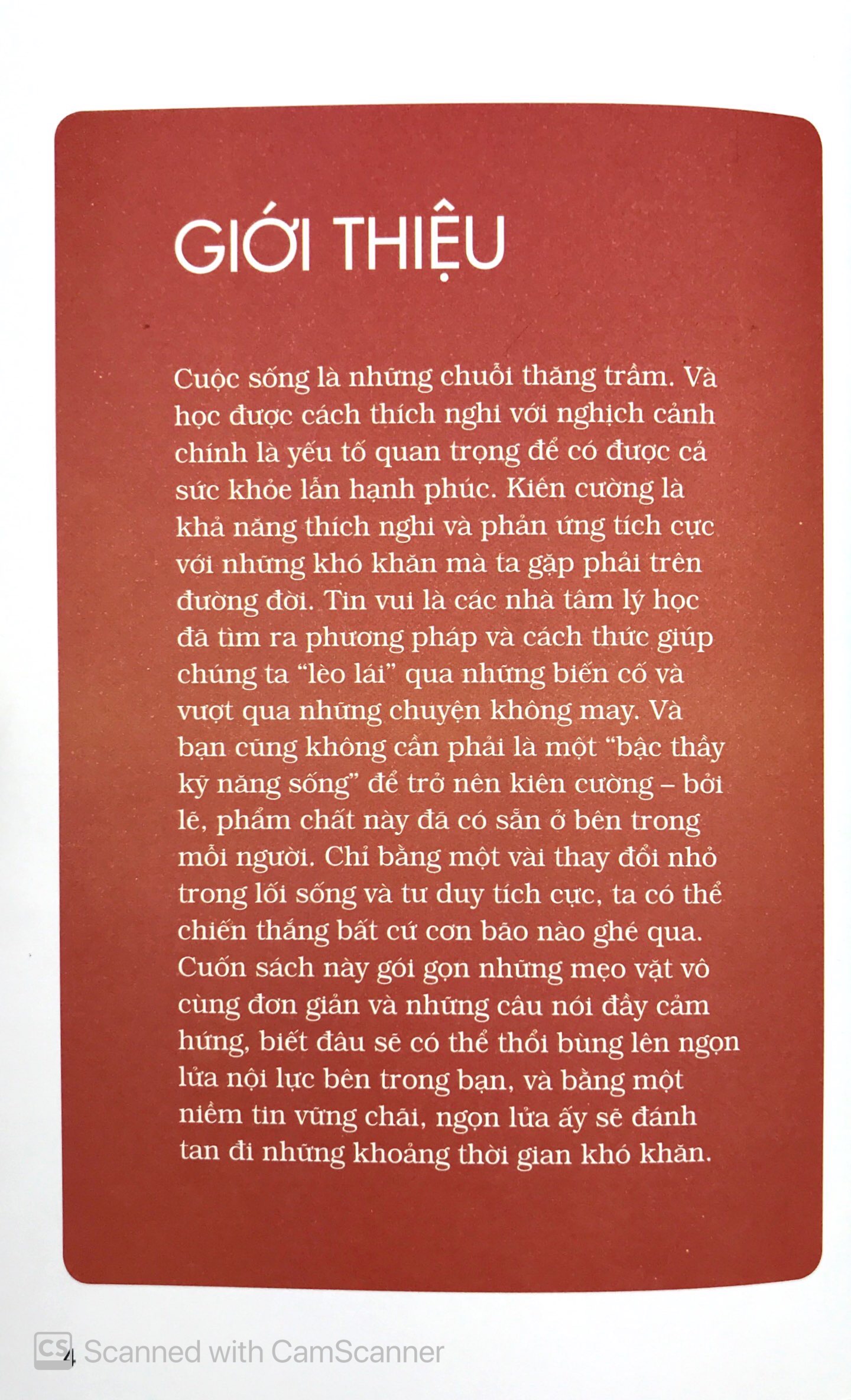 triết lý sống thế hệ z - kiên cường trên mọi chiến trường - Ảnh 4
