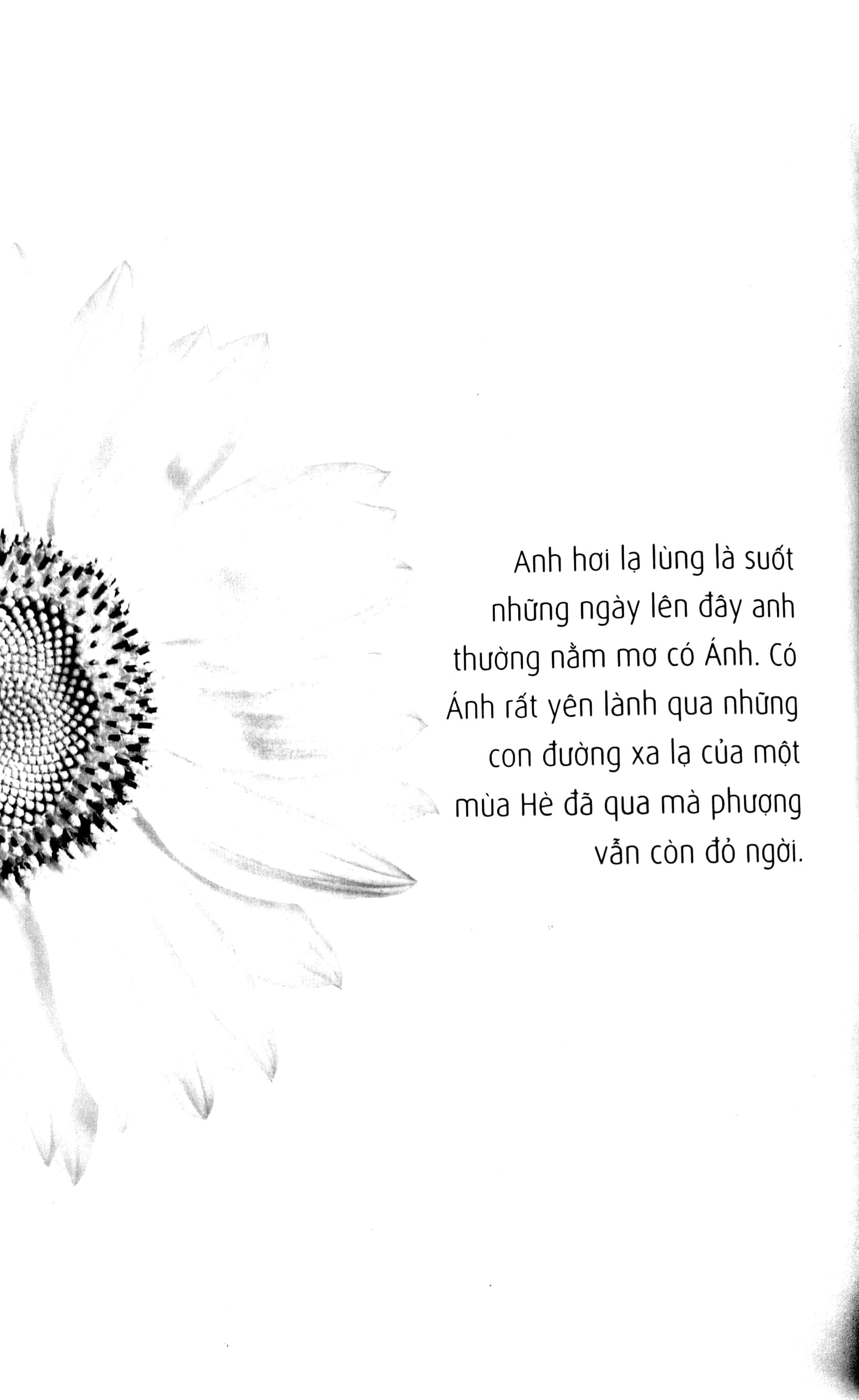 trịnh công sơn - thư tình gửi một người - Ảnh 4