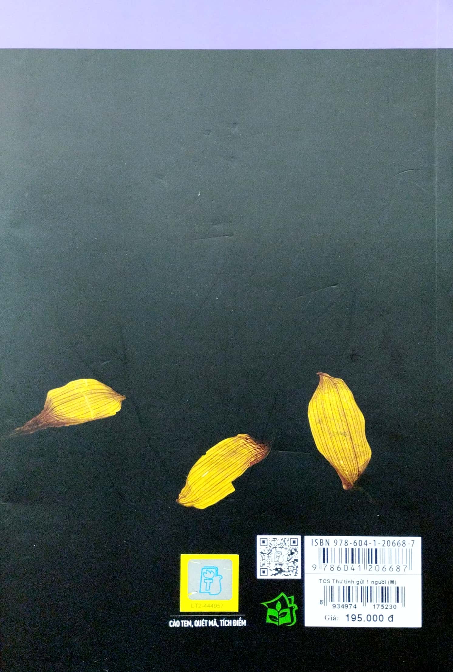 trịnh công sơn - thư tình gửi một người - Ảnh 6