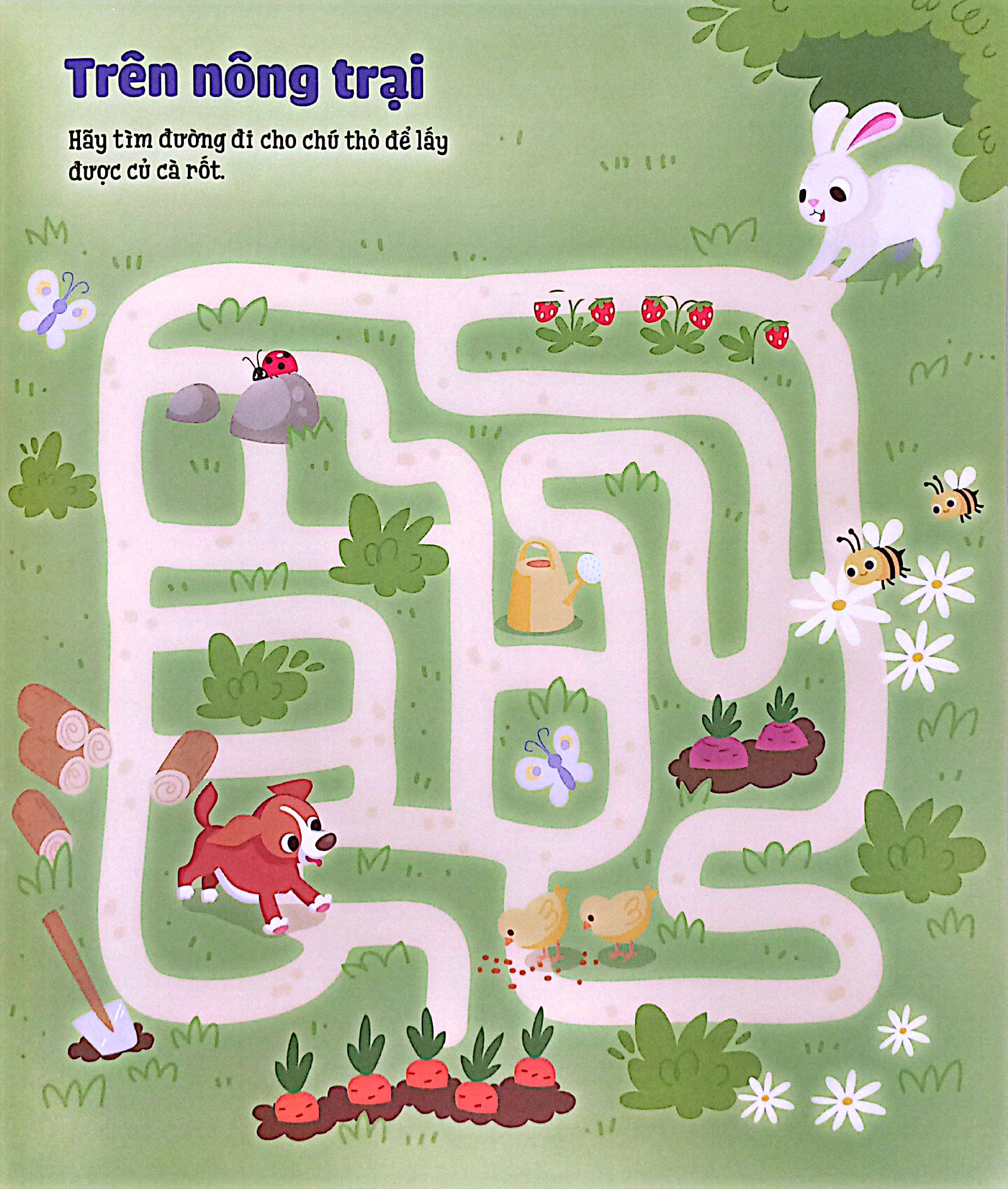 Trò Chơi Mê Cung Phát Triển Tư Duy - Ảnh 5