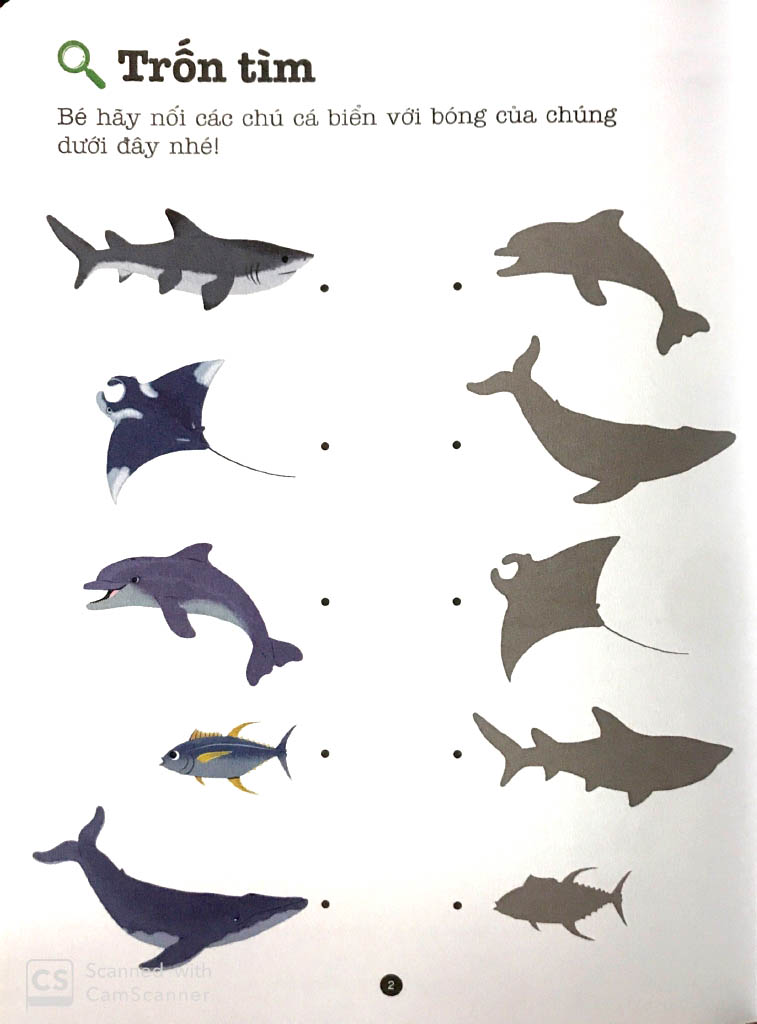 trò chơi phát triển trí tuệ - biển khơi - Ảnh 5